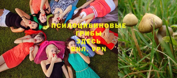 а пвп мука Майский