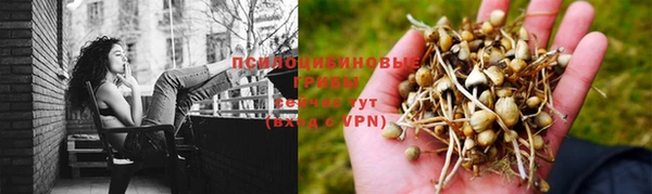 твердый Магадан