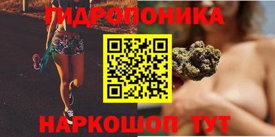 тгк Рыбинск
