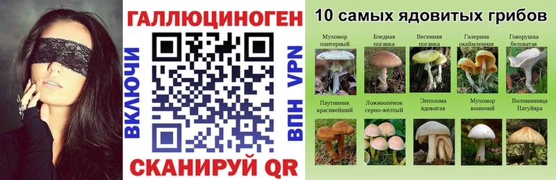 наркота  Саратов  Псилоцибиновые грибы Magic Shrooms 