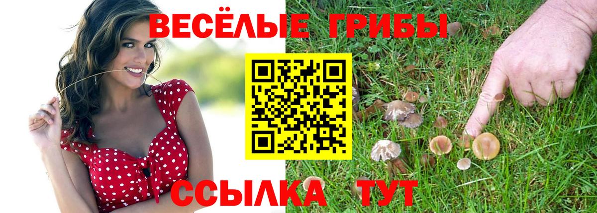 Псилоцибиновые грибы Psilocybine cubensis  Псилоцибиновые грибы прущие грибы  Вход с VPN  Саратов 